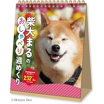 Amazon | 新日本カレンダー 2026年 カレンダー 卓上 柴犬まるの